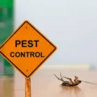Business 3 image MICK’S PEST CONTROL BRISBANE Pest Control in Brisbane QLD