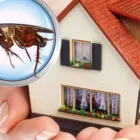 Business 1 image MICK’S PEST CONTROL SYDNEY Pest Management in Sydney NSW