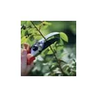 Business 4 image MID MURRAY SERVICES Window Cleaning in Caurnamont SA