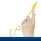 Business 6 image MORGANS Stockbrokers in Melbourne VIC