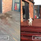 Business 4 image MS DECK REPAIRS - CANBERRA Patios and Decks in Torrens ACT