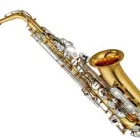 Business 5 image MUSIC EXPRESS Music Stores-Retail in Brisbane QLD