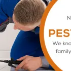 Business 3 image MY HOME PEST CONTROL Pest Control in Brisbane QLD