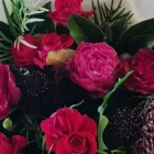 Business 1 image MY LITTLE FLOWER SHOPPE Florists in Brisbane QLD