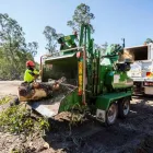 Business 3 image NORTH BRISBANE TREES Tree Trimming in Yugar QLD