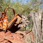 Business 4 image NORTH BRISBANE TREES Tree Trimming in Yugar QLD