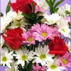 Business 1 image ONLINE FLORIST SYDNEY Sympathy in Sydney NSW