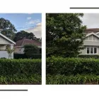 Business 4 image PAINTING PROS Painters And Decorators in Caringbah NSW