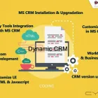 Business 8 image PARAGYTE TECHNOLOGIES Ms Sharepoint & Erp Systems Consultant in North Sydney NSW