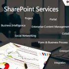Business 11 image PARAGYTE TECHNOLOGIES Ms Sharepoint & Erp Systems Consultant in North Sydney NSW