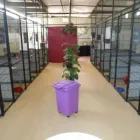 Business 3 image PARK RIDGE CAT RESORT Warm in Park Ridge South QLD