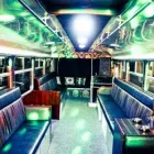 Business 5 image PARTY BUS EXPRESS SYDNEY Wedding Transport in Sydney NSW