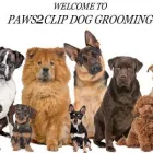 Business 1 image PAWS2CLIP DOG GROOMING Pet Care in Champion Lakes WA