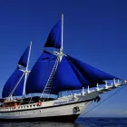 Business 1 image PELAGIC DIVE TRAVEL Vacation in Docklands VIC