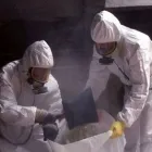Business 1 image PERTH ASBESTOS SERVICES Asbestos Removal & Services in Koondoola WA