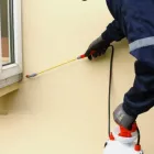 Business 1 image PEST CONTROL BULIMBA Pest Inspection in Bulimba QLD