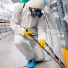 Business 1 image PEST CONTROL CHURCHLANDS Pest Control in Churchlands WA