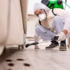 Business 5 image PEST CONTROL CHURCHLANDS Pest Control in Churchlands WA