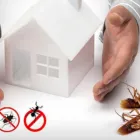 Business 1 image PEST CONTROL COTTESLOE Pest Inspection in COTTESLOE WA