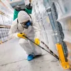 Business 5 image PEST CONTROL COTTESLOE Pest Inspection in COTTESLOE WA