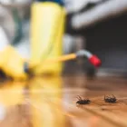 Business 3 image PEST CONTROL FERNTREE GULLY Pest Control in Ferntree Gully VIC