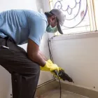 Business 4 image PEST CONTROL FERNTREE GULLY Pest Control in Ferntree Gully VIC