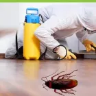 Business 5 image PEST CONTROL FERNTREE GULLY Pest Control in Ferntree Gully VIC