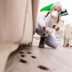 Business 6 image PEST CONTROL FERNTREE GULLY Pest Control in Ferntree Gully VIC