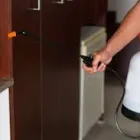 Business 3 image PEST CONTROL HAWTHORNE Pest Inspection in Hawthorne QLD