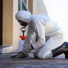 Business 3 image PEST CONTROL HAWTHORNE Pest Control in Hawthorne QLD