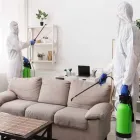 Business 1 image PEST CONTROL KARABAR Pest Control in Karabar NSW