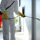 Business 3 image PEST CONTROL KARABAR Pest Control in Karabar NSW