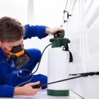 Business 4 image PEST CONTROL KARABAR Pest Control in Karabar NSW