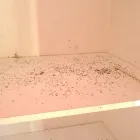 Business 2 image PEST CONTROL MELBOURNE Pest Control in Melbourne VIC