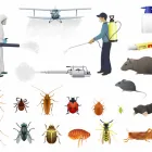 Business 1 image PEST CONTROL RANDWICK Pest Control in Randwick NSW