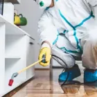 Business 1 image PEST CONTROL RANDWICK Pest Control in Randwick NSW