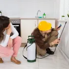 Business 4 image PEST CONTROL SYDNEY Pest Control in Sydney NSW