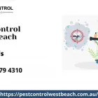 Business 1 image PEST CONTROL WEST BEACH Pest Management in West Beach SA
