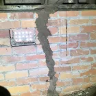 Business 2 image PEST DOCTORS Pest Control Products in Hawthorne QLD