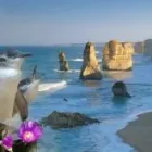 Business 2 image PHILLIP ISLAND TOURS AUSTRALIA Wildlife Tours in Melbourne VIC