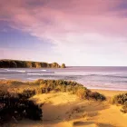 Business 4 image PHILLIP ISLAND TOURS AUSTRALIA Wildlife Tours in Melbourne VIC