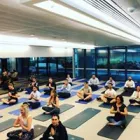 Business 8 image PINNACLE HEALTH GROUP Yoga in Docklands VIC