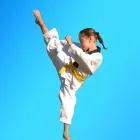 Business 6 image PINNACLE MARTIAL ARTS ACADEMY Taekwondo near me in Earlwood NSW