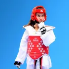 Business 11 image PINNACLE MARTIAL ARTS ACADEMY Taekwondo near me in Earlwood NSW