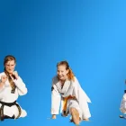 Business 12 image PINNACLE MARTIAL ARTS ACADEMY Taekwondo near me in Earlwood NSW