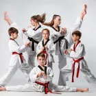 Business 1 image PINNACLE TAEKWONDO MARTIAL ARTS IN EARLWOOD Martial Arts School in Earlwood NSW