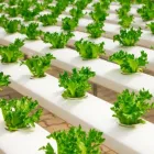 Business 2 image PMHYDRO Nursery & Garden Supplies Wholesale in Sydney NSW