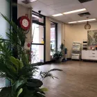 Business 1 image PREMIER SPORTS & SPINAL MEDICINE BRUNSWICK Physiotherapist in Brunswick VIC