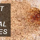 Business 2 image PROFESSIONAL CARPET CLEANING SERVICE IN PERTH Carpet Cleaning & Protection in Perth WA