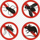 Business 1 image PROFESSIONAL PEST CONTROL MELBOURNE Pest Management in Melbourne VIC